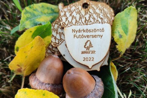 Egyedi, környezetbarát befutóérem